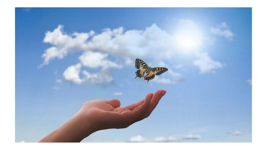 Karyn Heartsmith Henfrey Wonderful world of wellbeing
